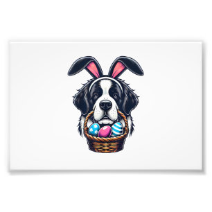 Cute Bunny Ear Saint Bernard Dog Easter Egg Owner  Photo Print