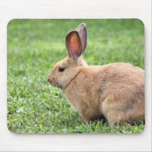 Cute Bunny Mouse Mat