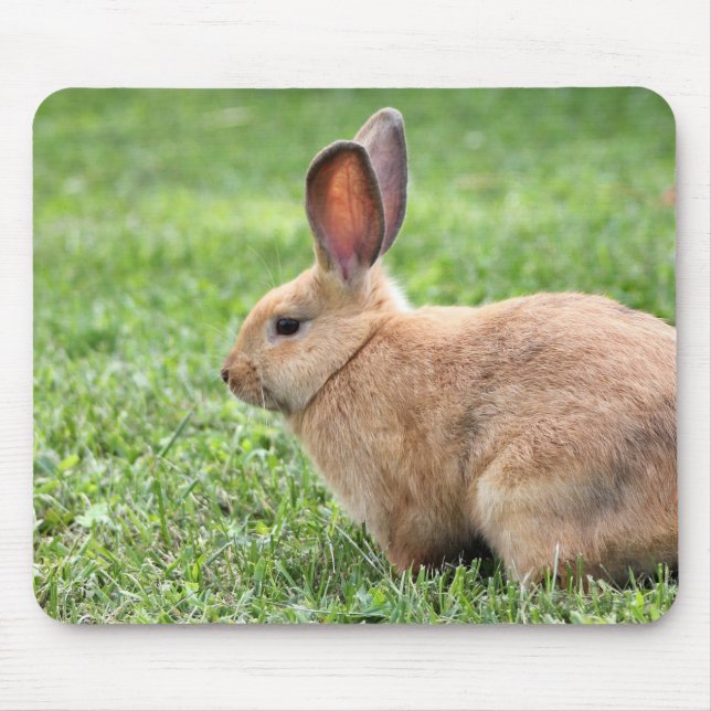 Cute Bunny Mouse Mat (Front)