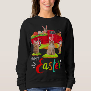 Cute Bunny Persian Cats Riding Red Truck Happy Eas Sweatshirt