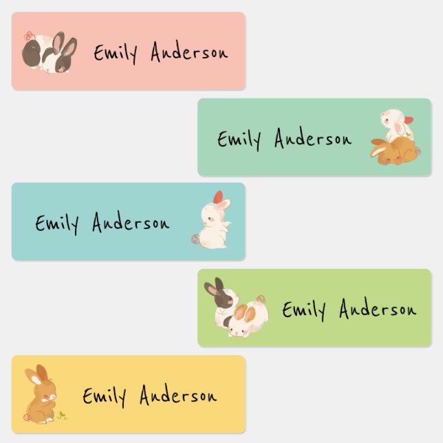 Cute Bunny Rabbit Animals School Daycare Labels (Group)