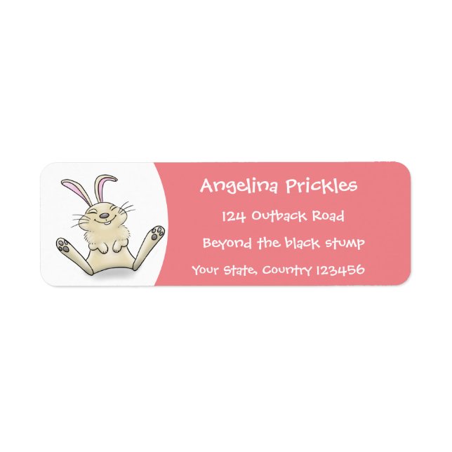 Cute bunny rabbit cartoon illustration (Front)