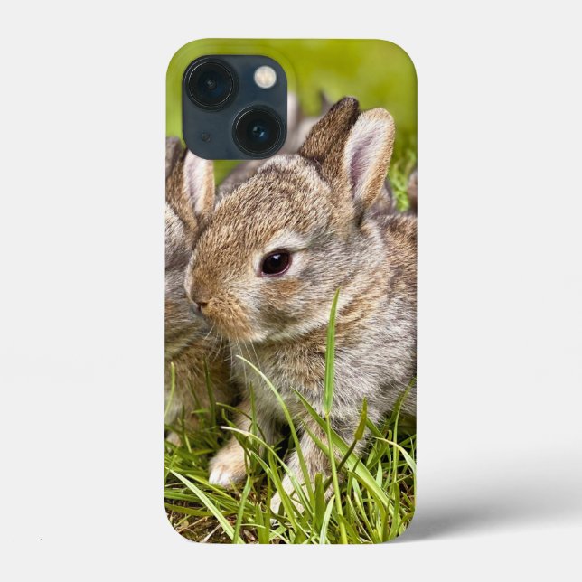 Cute Bunny Rabbit Case-Mate iPhone Case (Back)