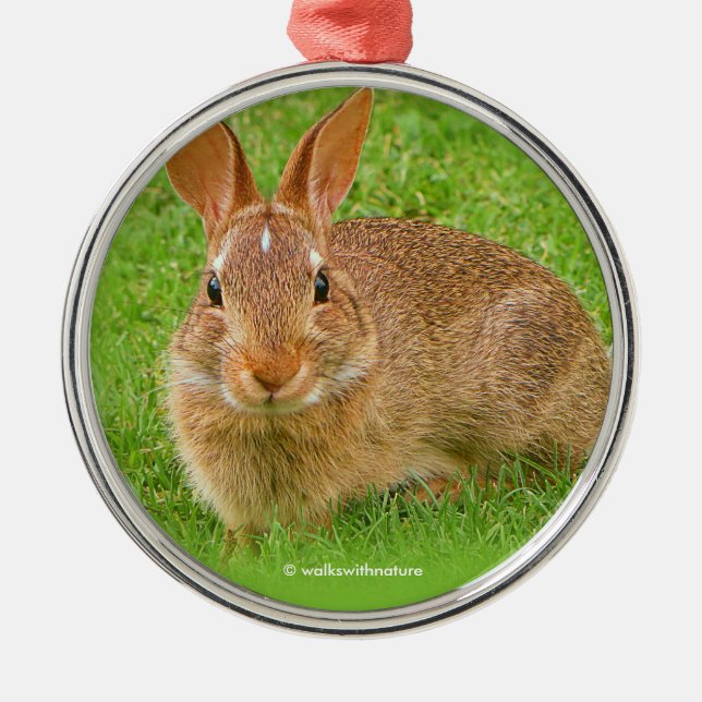 Cute Bunny Rabbit Chewing Greens on Golf Fairway Metal Tree Decoration (Front)