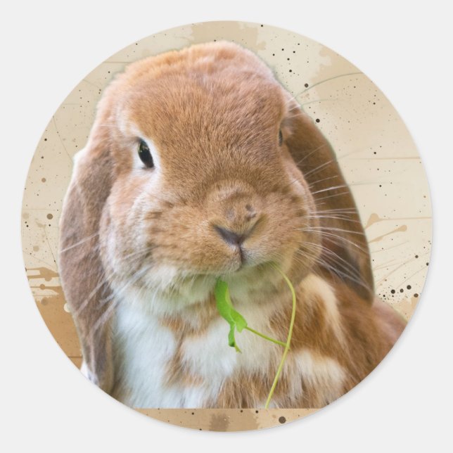 Cute Bunny Rabbit Pet Animal Classic Round Sticker (Front)
