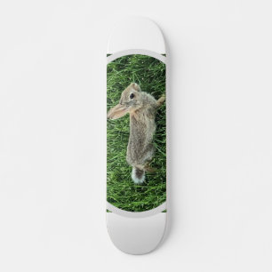 Cute Bunny Rabbit Skateboard