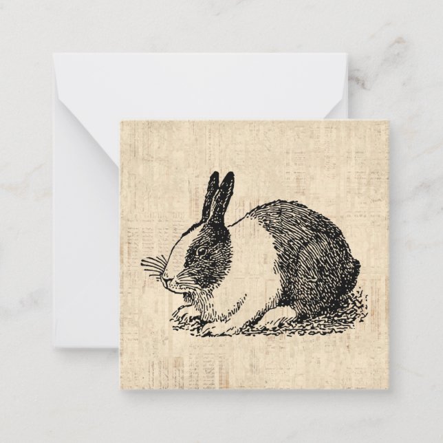 Cute Bunny Rabbit Vintage Animal Art Illustration Card (Front)