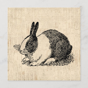 Cute Bunny Rabbit Vintage Animal Art Illustration Invitation