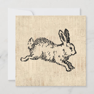 Cute Bunny Rabbit Vintage Illustration Script Art Card