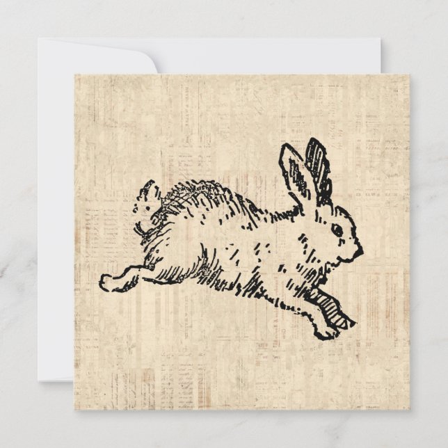 Cute Bunny Rabbit Vintage Illustration Script Art Invitation (Front)
