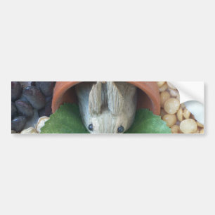 Cute Bunny Snacking Bumper Sticker