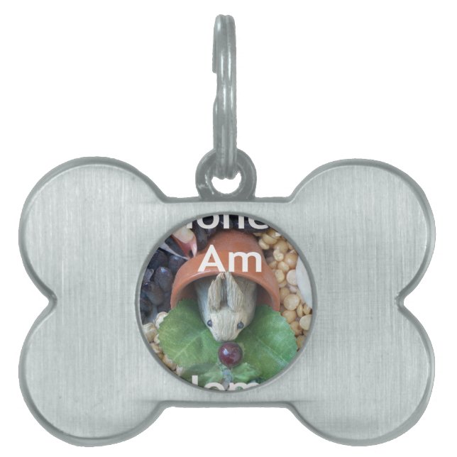 Cute Bunny Snacking Pet Name Tag (Front)