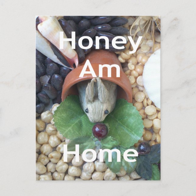 Cute Bunny Snacking Postcard (Front)