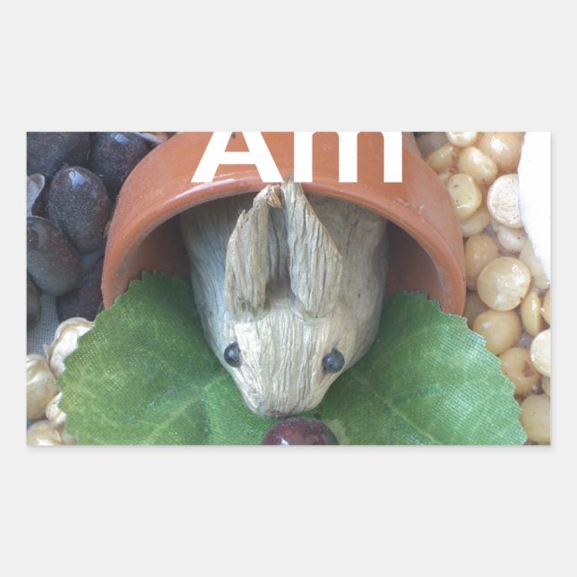 Cute Bunny Snacking Rectangular Sticker (Front)