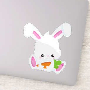 Cute Bunny, White Bunny, Little Bunny, Carrot