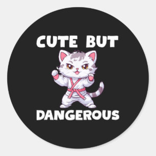 Cute But Dangerous Karate Taekwondo Kitty Cat Kara Classic Round Sticker