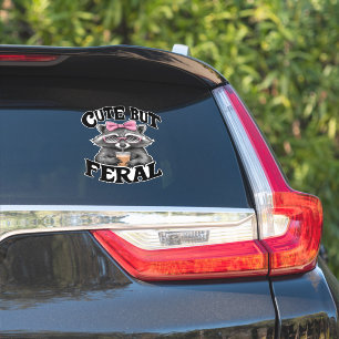 Cute But Feral Racoon With Sunglasses Racoon