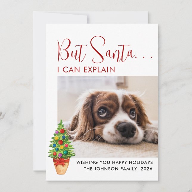 Cute But Santa... I Can Explain| Green| Pet Photo Holiday Card (Front)