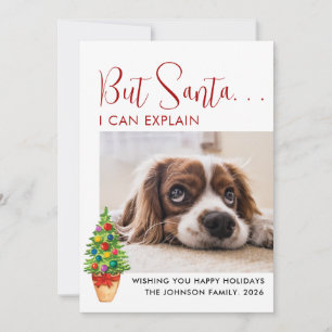 Cute But Santa... I Can Explain  Green  Pet Photo Holiday Card