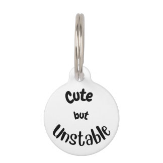 Cute but unstable bandanna pet tag
