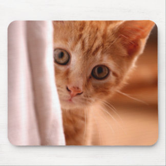 Cute Butterscotch Kitten Mouse Mat