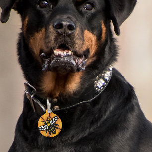 Cute Buzzing Yellow Jacket Bee Honeycomb Pet Tag