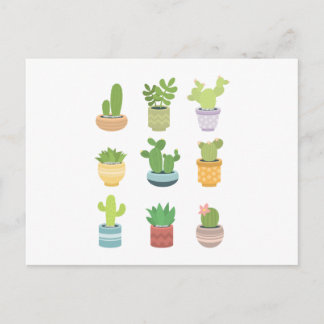 Cute Cacti  Postcard