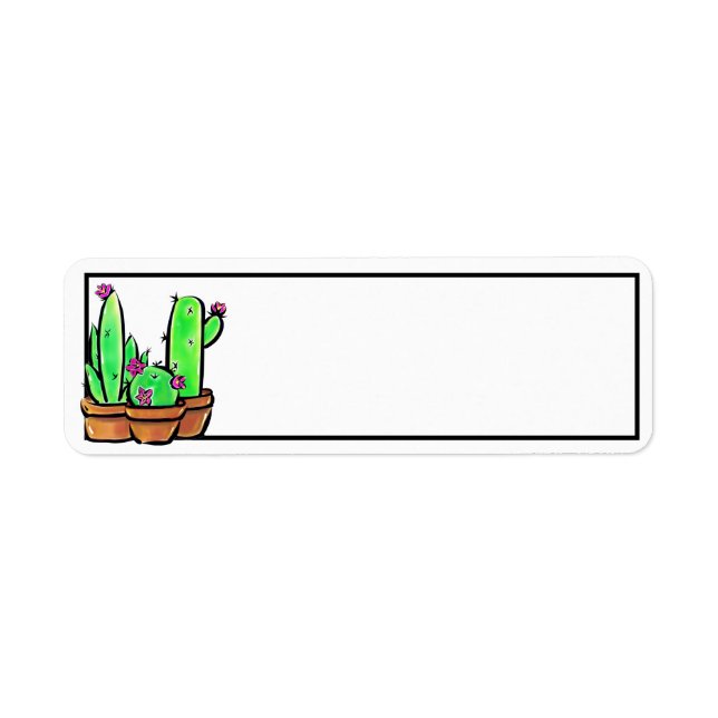 Cute Cactus cacti succulents  (Front)