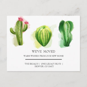 cute Cactus  home moving Postcard