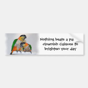 Cute Caique Parrot Pair Bumper Sticker