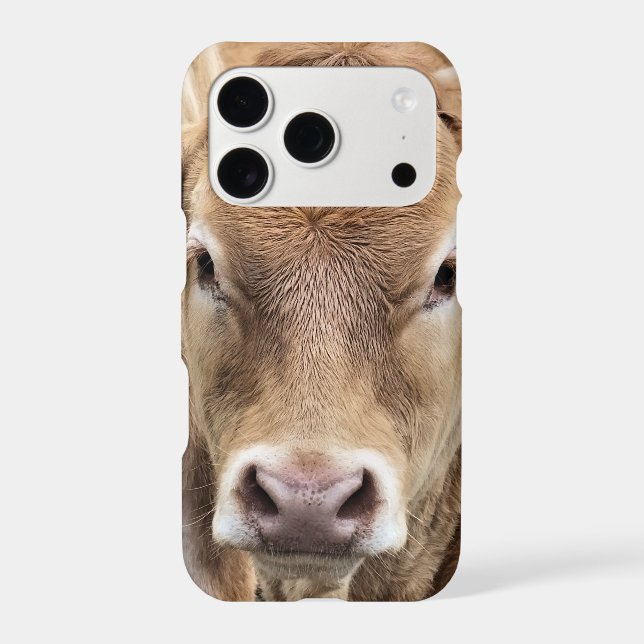 CUTE CALF (Back)