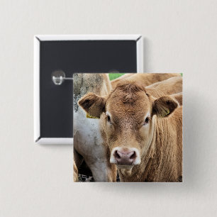 CUTE CALF 15 CM SQUARE BADGE