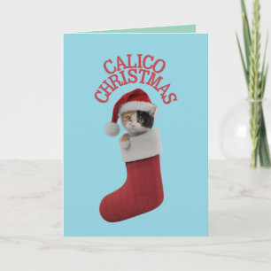 Cute Calico Cat Christmas Holiday Card