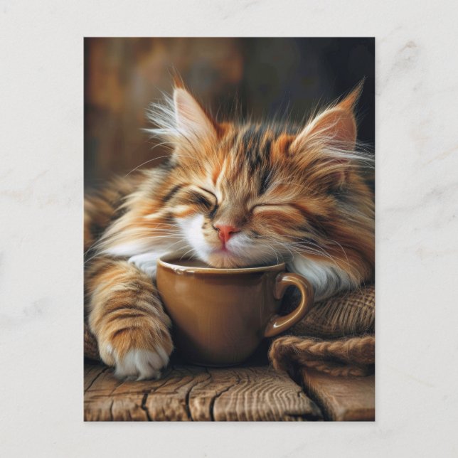 Cute Calico Cat Coffee Morning Postcard (Front)