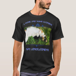 Cute Calico Cat Graphic Photography Text Beautiful T-Shirt