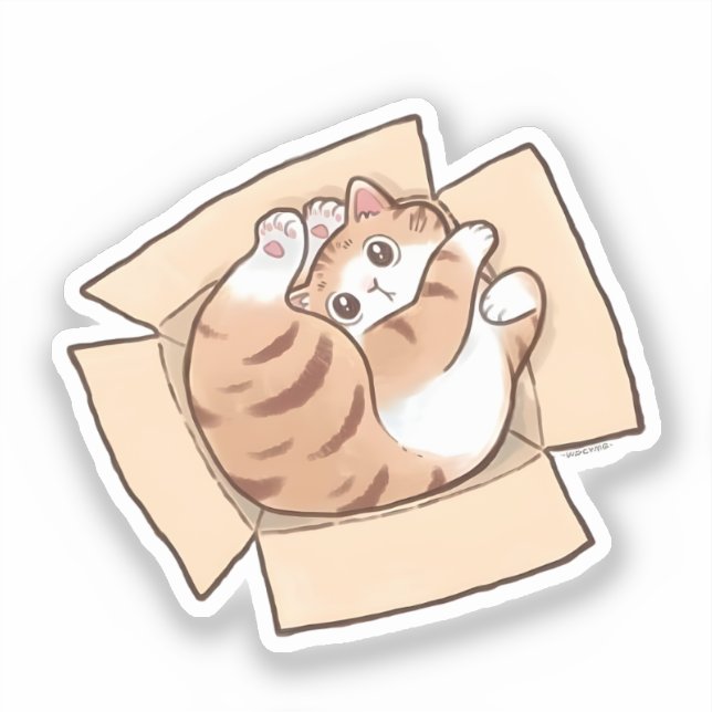Cute Calico Cat in Cardboard Box (Front)