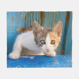 Cute Calico Cat Kitten Funny Curious Eyes Photo  - Fleece Blanket