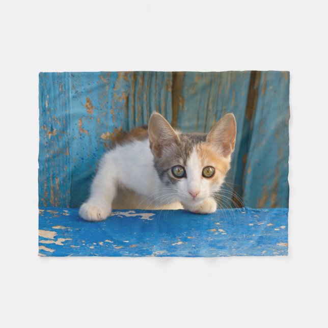Cute Calico Cat Kitten Funny Curious Eyes Photo __ Fleece Blanket (Front (Horizontal))