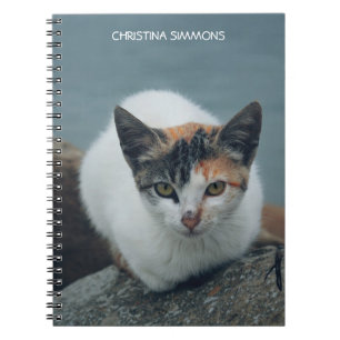 Cute Calico Cat Personalised Notebook