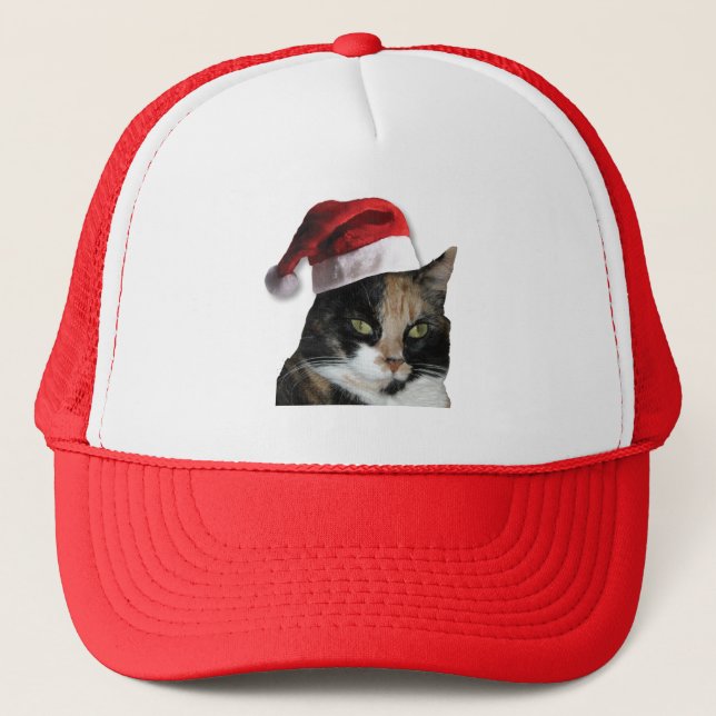 Cute Calico Cat Wearing Santa Hat (Front)