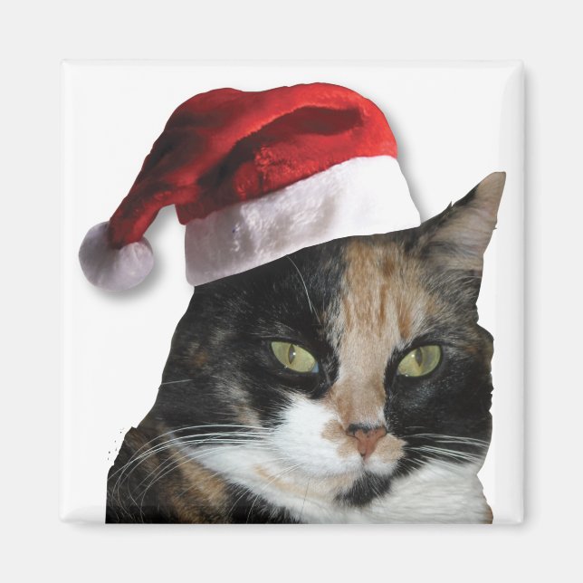 Cute Calico Cat Wearing Santa Hat Magnet (Front)