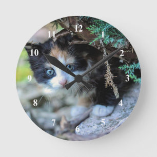 Cute Calico Kitten Photo Round Clock