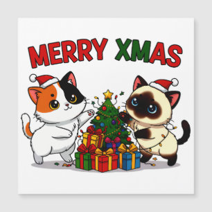 Cute Calico & Siamese Kitten Gift