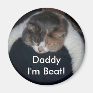 Cute Calico Sleeping Cat Over Shoulder Magnet