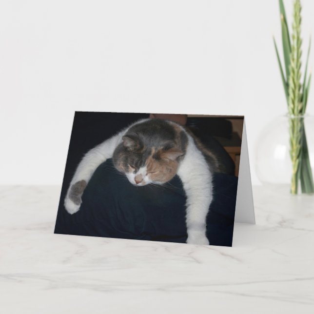 Cute Calico Sleeping Cat Over Shoulder Thank You Card (Front)