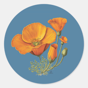 Cute California Poppy Flower Vintage Sticker Sheet