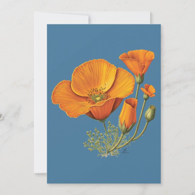 Cute California Poppy Flower Vintage Style Card (Front)