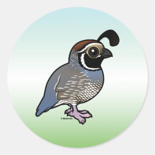 Cute California Quail Classic Round Sticker