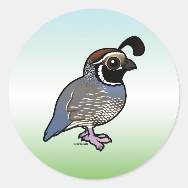 Cute California Quail Classic Round Sticker (Front)