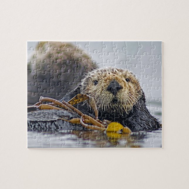 Cute California Sea Otter - Wildlife Photography Jigsaw Puzzle (Horizontal)